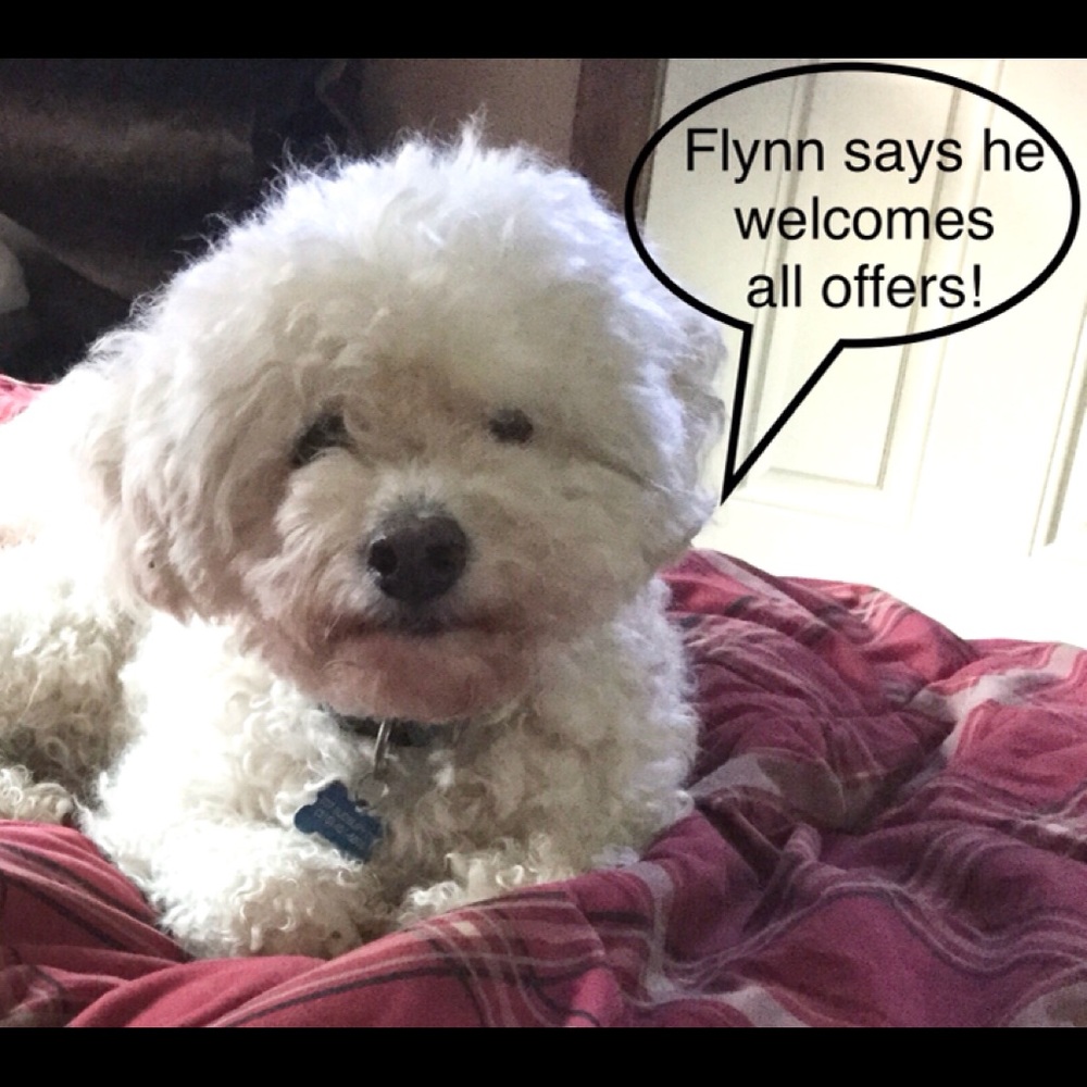 Flynn ❤️ Poshmark! Bundles too!